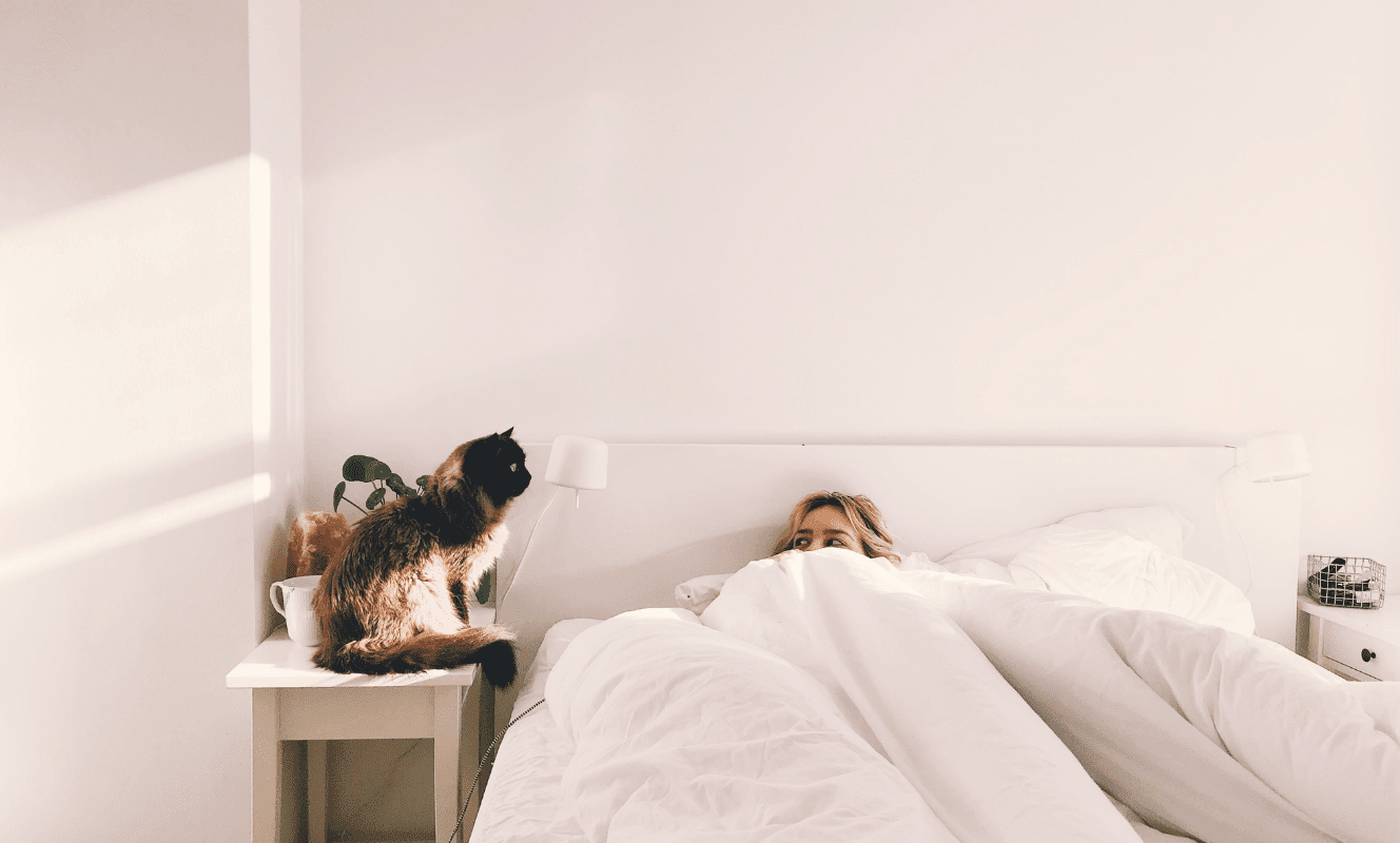 zoom sur la salle privée